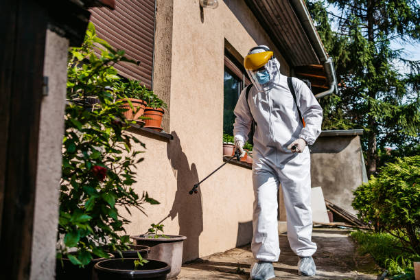 Best Emergency Pest Control  in Jackpot, NV