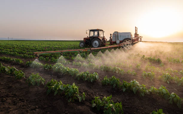 Best Commercial Pest Control Services  in Jackpot, NV