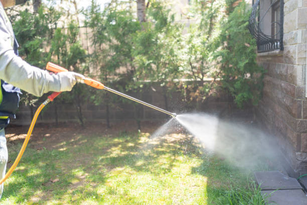 Best Bed Bug Extermination  in Jackpot, NV