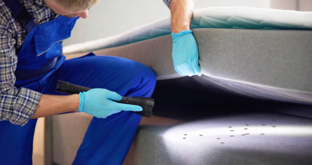 Best Flea Control Services  in Jackpot, NV