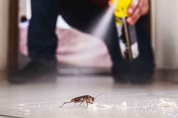 Best Pest Prevention Services  in Jackpot, NV