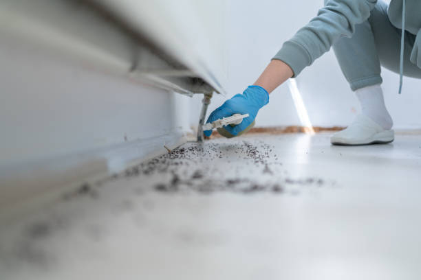 Reliable Jackpot, NV Pest Control Solutions