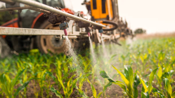 Best Mosquito Control Services  in Jackpot, NV