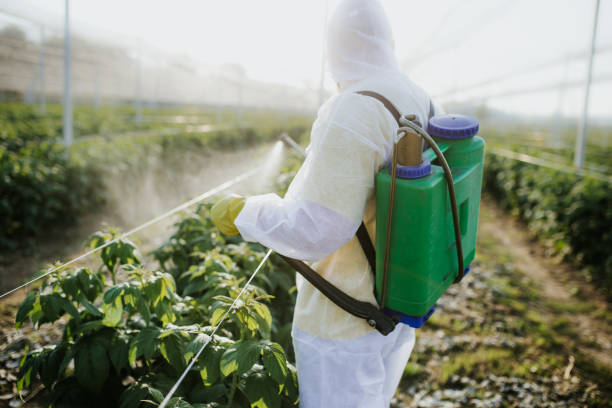 Best Wildlife Control Services  in Jackpot, NV